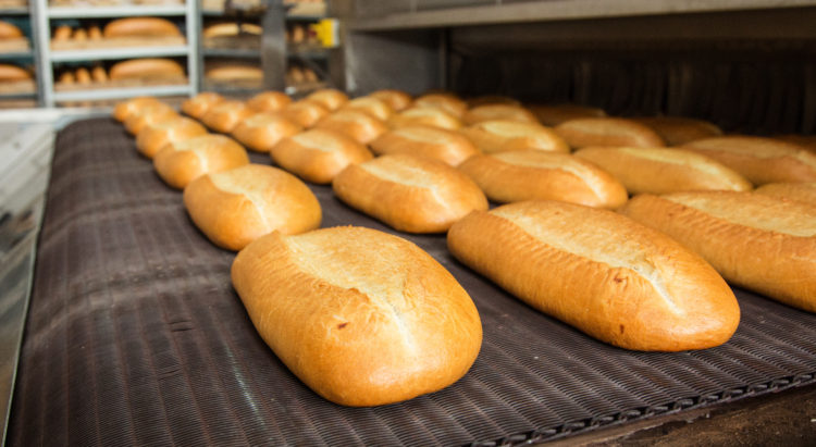 Hot baked breads on a line Fresh hot baked bread loafs on the production line